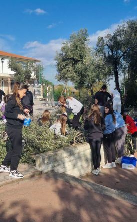 3ο ΓΕ.Λ. Βέροιας:  “Μας έβγαλαν το λάδι!”