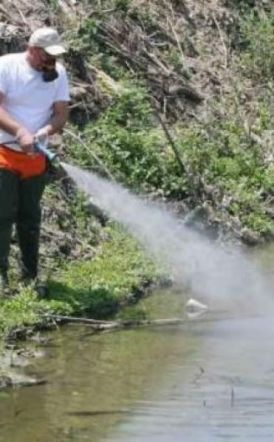 Επεμβάσεις για καταπολέμηση κουνουπιών στο Δήμο Βέροιας 30/9 - 5/10