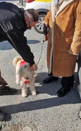 Συνεχείς έλεγχοι της Δημοτικής Αστυνομίας στους ιδιοκτήτες ζώων συντροφιάς