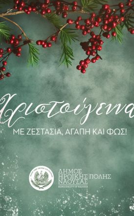 «Χριστούγεννα με ζεστασιά, αγάπη και φως!» στο Δήμο Νάουσας