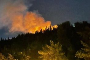 Βέροια: Σαββατοκύριακο με δύο φωτιές που περιορίστηκαν άμεσα από την ΠΥ, στην περιοχή Νοσοκομείου και Άλσους Παπάγου
