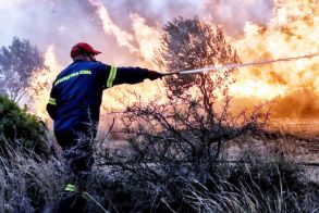 Καθημερινό φαινόμενο οι αγροτοδασικές πυρκαγιές