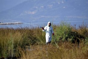 Ιός του Δυτικού Νείλου : Ο ΕΟΔΥ καλεί να προφυλαχθείτε από τα κουνούπια λόγω «ιδιαίτερα έντονης» κυκλοφορίας του ιού