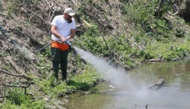 Επεμβάσεις για καταπολέμηση κουνουπιών στο Δήμο Βέροιας 30/9 - 5/10