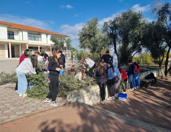 3ο ΓΕ.Λ. Βέροιας:  “Μας έβγαλαν το λάδι!”