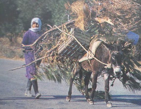  ΕΠΙΓΡΑΜΜΑΤΑ   ΑΠΟ   ΤΗΝ   ΕΛΛΗΝΙΚΗ   ΑΝΘΟΛΟΓΙΑ