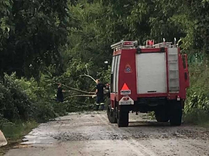 Γεωργιανοί: Έκλεισε δρόμος από πεσμένο δέντρο- Επιχειρεί τώρα η Πυροσβεστική