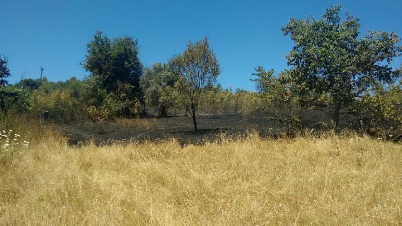 Μικρή χορτολιβαδική έκταση έκαψε φωτιά στον δρόμο προς Παναγία Δοβρά