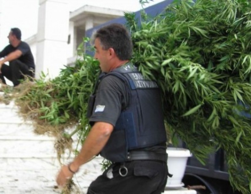 Σύλληψη 40χρονου στη Βέροια για καλλιέργεια δενδρυλλίων κάνναβης
