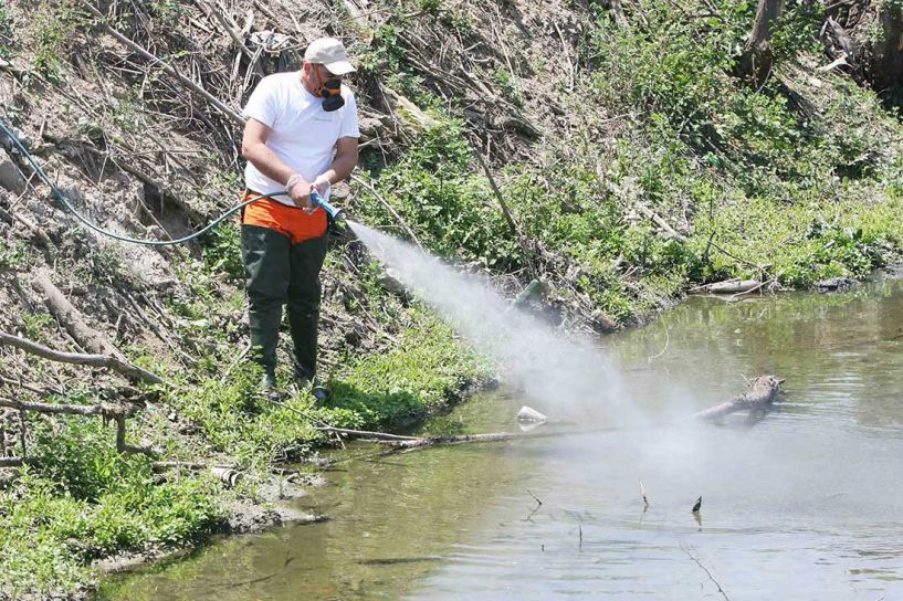 Κίνηση συνεργείων του Προγράμματος Καταπολέμησης Κουνουπιών του Δήμου Αλεξάνδρειας έως 7 Ιουνίου 2024