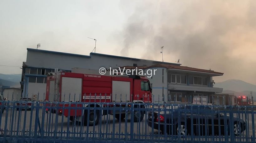 Βέροια: Φωτιά σε εργοστάσιο ξυλείας - Έγκαιρη επέμβαση της Πυροσβεστικής 