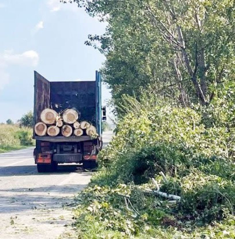 Κυκλοφοριακές ρυθμίσεις σήμερα και αύριο στην Ημαθία, λόγω κοπής χόρτων και επικίνδυνων δέντρων