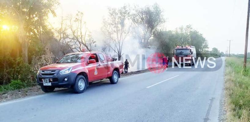 Εν μέσω καύσωνα εκδηλώθηκε και φωτιά στο δρόμο Ξεχασμένης - Καβάσιλας