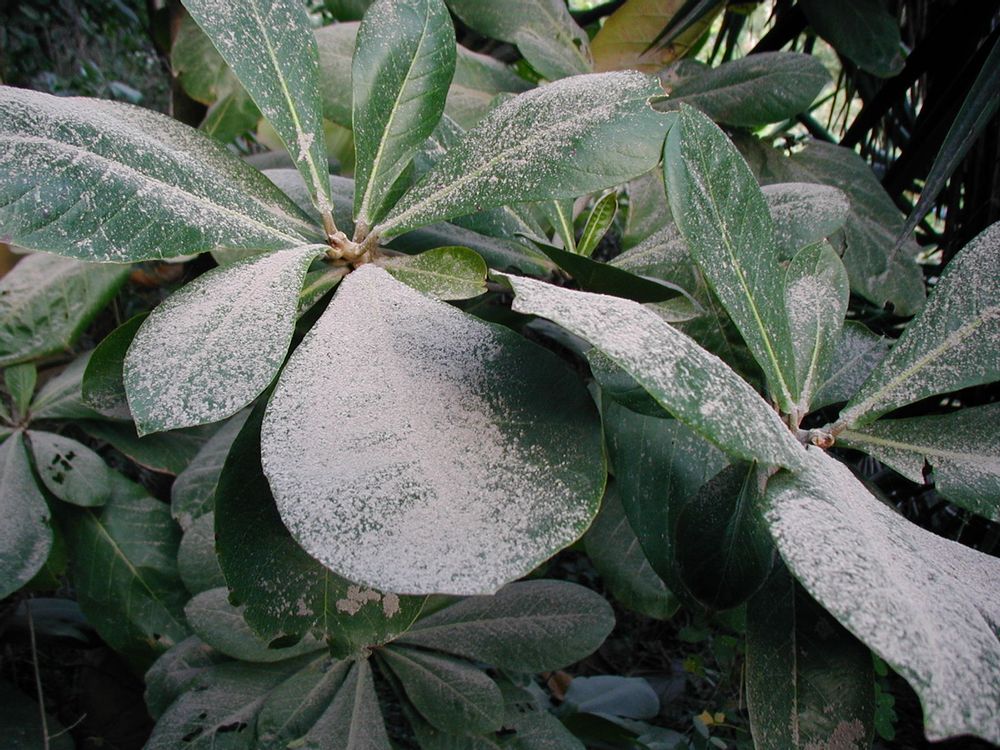 7d50f529-2ca4-4d99-b01f-d8f4339a10e8