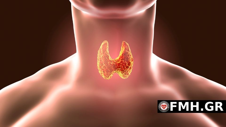 θυρεοειδης και διατροφή